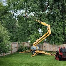 Best Hazardous Tree Removal  in Atlanta, IL