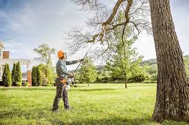 Best Tree Removal  in Atlanta, IL