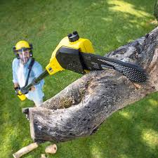 Best Utility Line Clearance  in Atlanta, IL