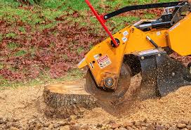 Best Root Management and Removal  in Atlanta, IL