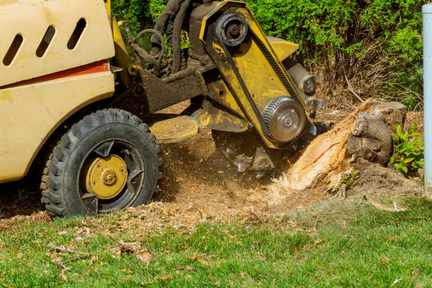 Atlanta, IL Tree Services Company