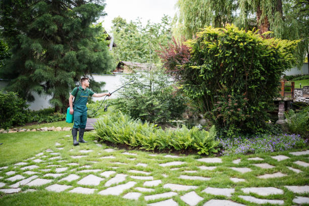 Best Grass Overseeding  in Atlanta, IL
