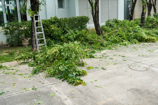 Best Fruit Tree Pruning  in Atlanta, IL