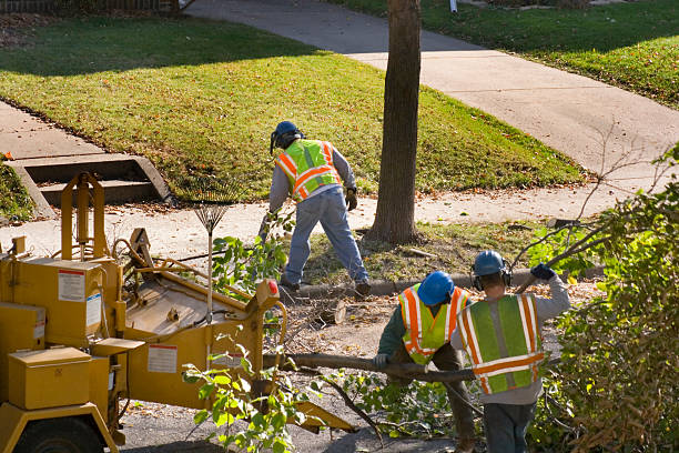 Best Lawn Mowing  in Atlanta, IL