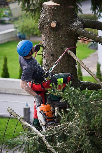 Best Arborist Consultation Services  in Atlanta, IL