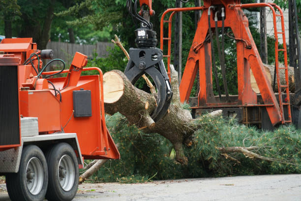 Best Aeration Services  in Atlanta, IL