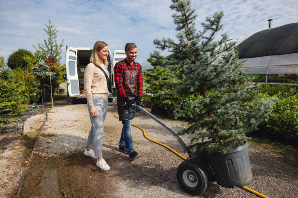 How Our Tree Care Process Works  in  Atlanta, IL